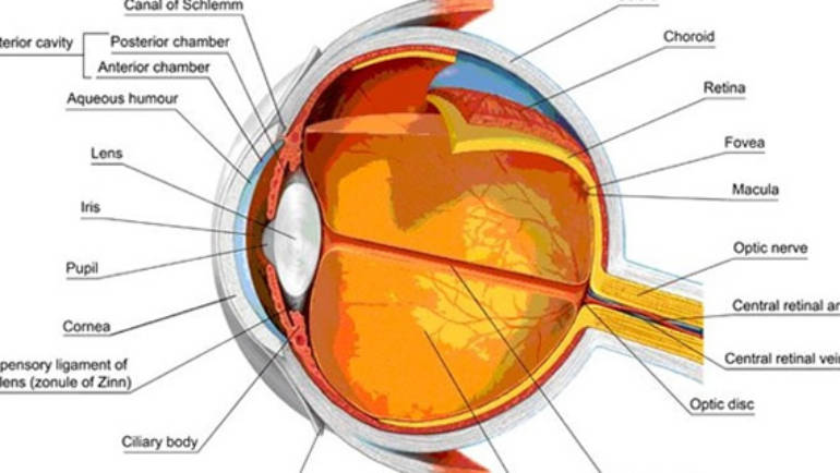 How do I know if I have Glaucoma?