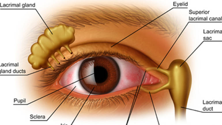 Dry Eye Syndrome: Causes, Symptoms & Treatment